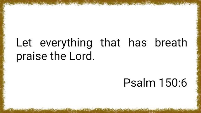 Ancient scriptural text