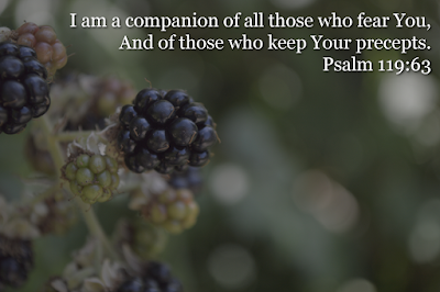 Who are your heroes?