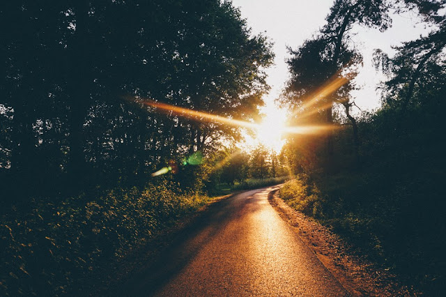 Bread on the Waters: Pilgrim