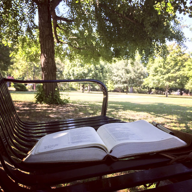 The Eternal and the Transient